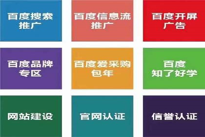 百度SEM推广策略：成功案例解析